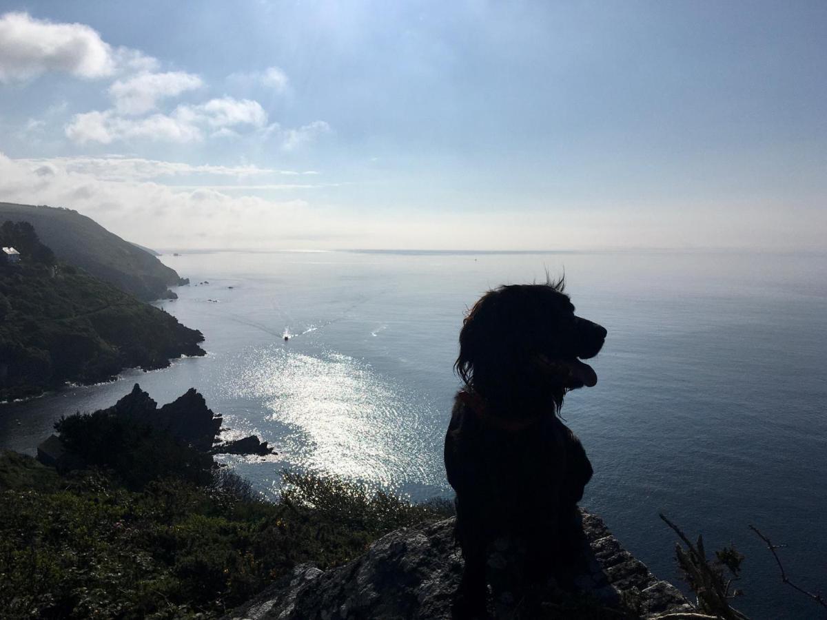 Teana * Polperro