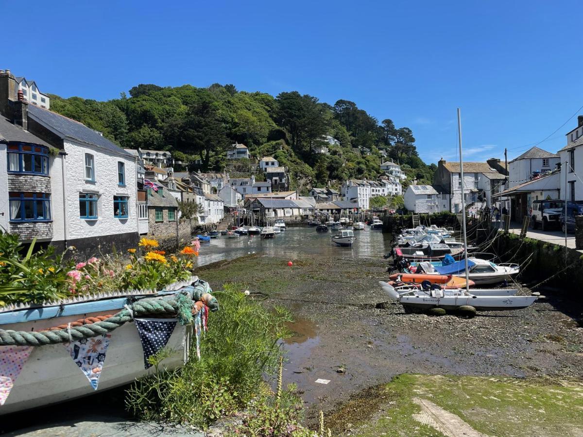 Teana * Polperro